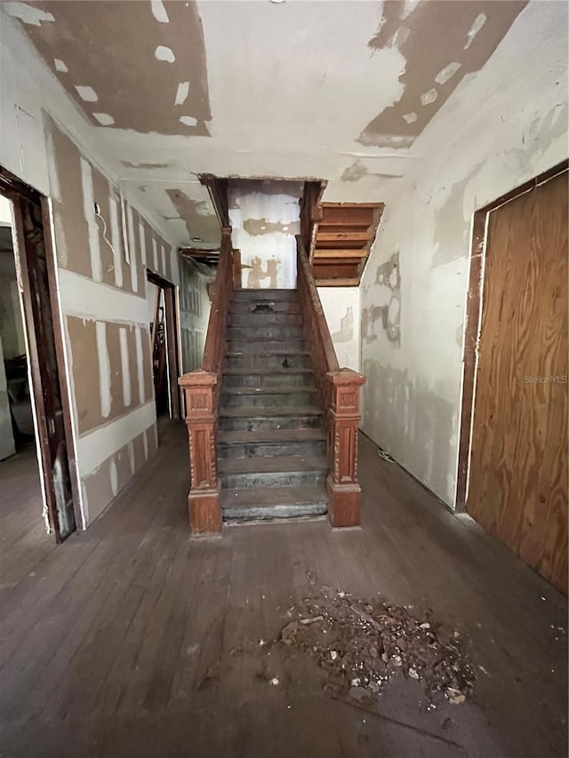 815 E University Ave, Gainesville, FL 32601 - stairs featuring hardwood / wood-style flooring