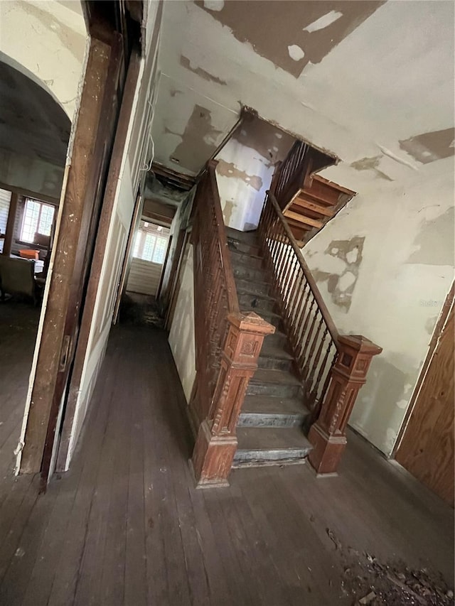 815 E University Ave, Gainesville, FL 32601 - staircase with hardwood / wood-style flooring and a wealth of natural light