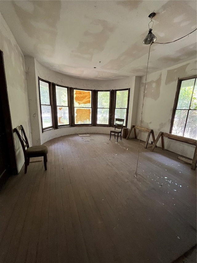 815 E University Ave, Gainesville, FL 32601 - misc room with wood-type flooring and a healthy amount of sunlight