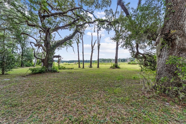 view of yard with a rural view