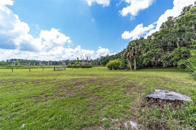 view of yard with a rural view