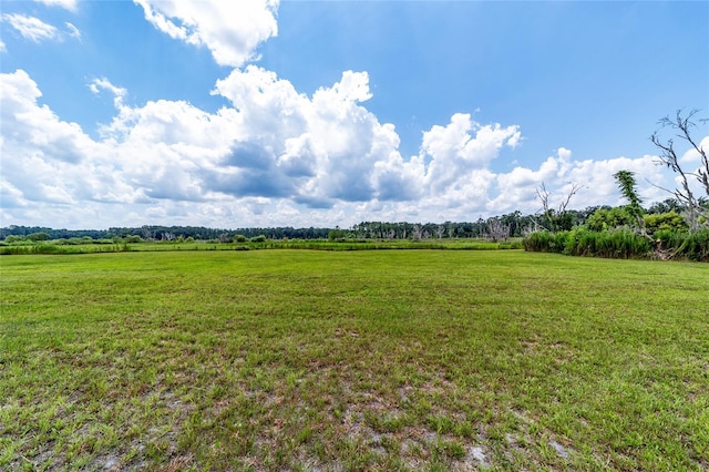 view of yard featuring a rural view