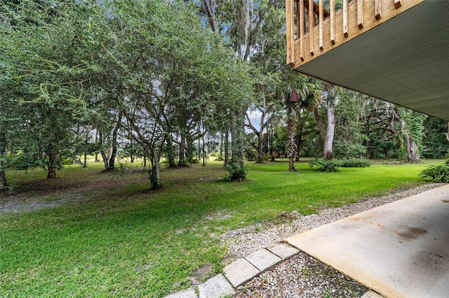 view of yard featuring a patio