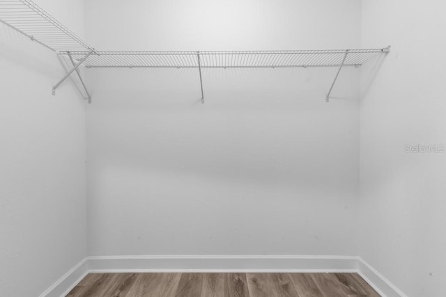 walk in closet with hardwood / wood-style floors