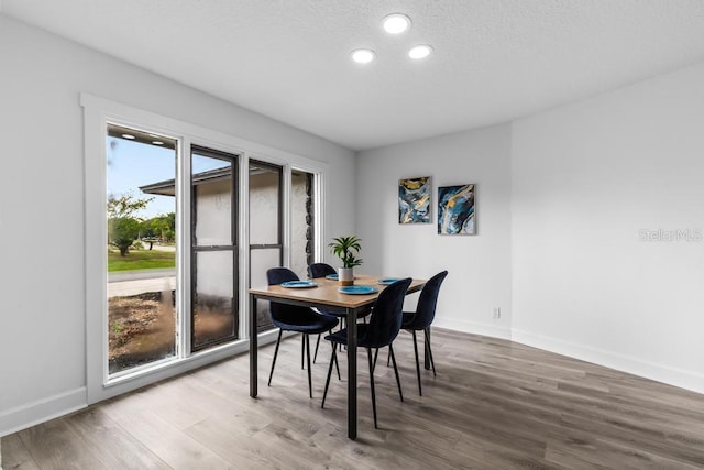 dining room featuring hardwood / wood-style floors