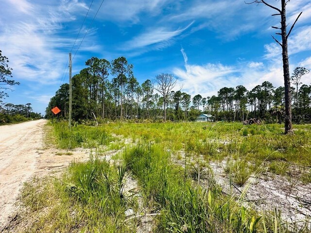 Pelican Pl, Perry, FL 32348 - photo 1