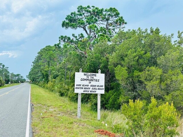 Pelican Pl, Perry, FL 32348 - photo 2