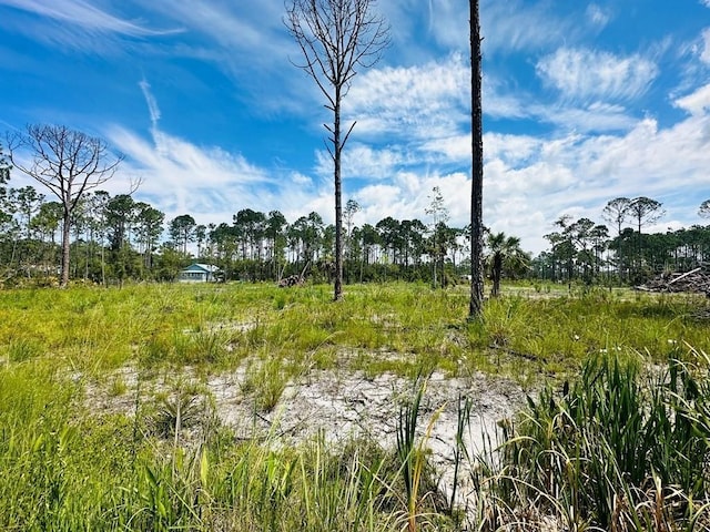 Pelican Pl, Perry, FL 32348 - photo 3
