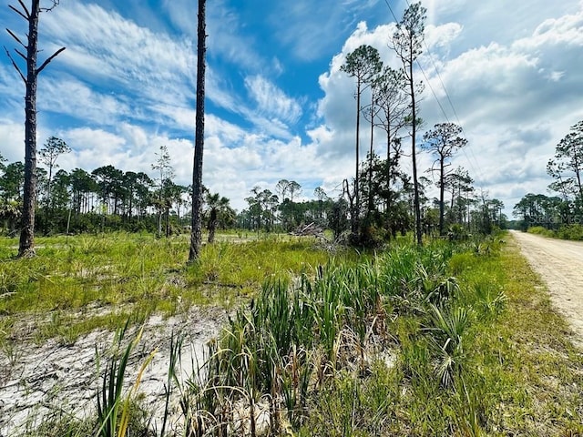 Pelican Pl, Perry, FL 32348 - photo 4