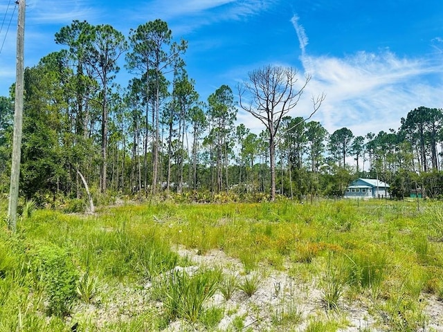 Pelican Pl, Perry, FL 32348 - photo 5