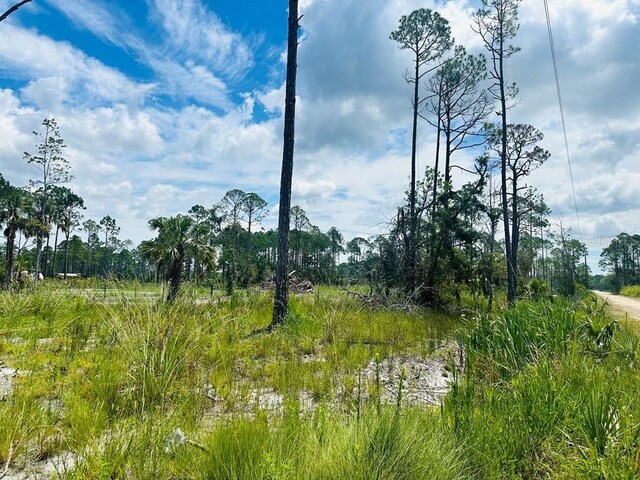 Pelican Pl, Perry, FL 32348 - photo 6
