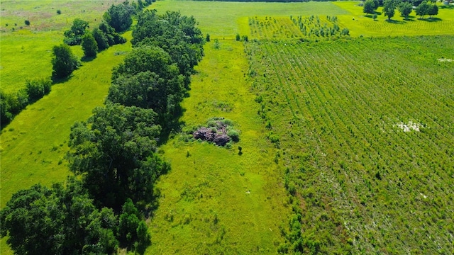 birds eye view of property with a rural view