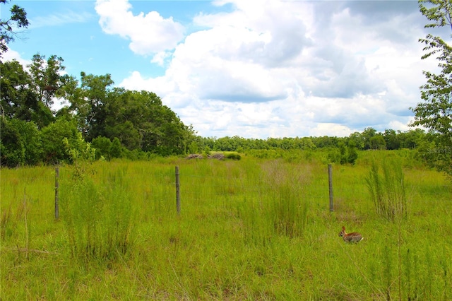 view of nature