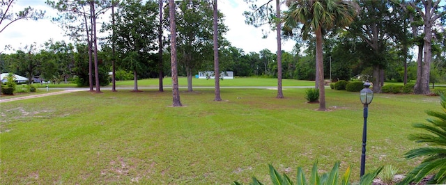 view of community with a yard