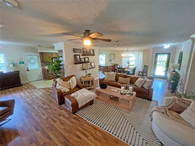 living room with hardwood / wood-style floors, ceiling fan with notable chandelier, ornamental molding, and a textured ceiling