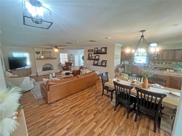 dining room featuring ornamental molding, ceiling fan with notable chandelier, hardwood / wood-style floors, and a textured ceiling