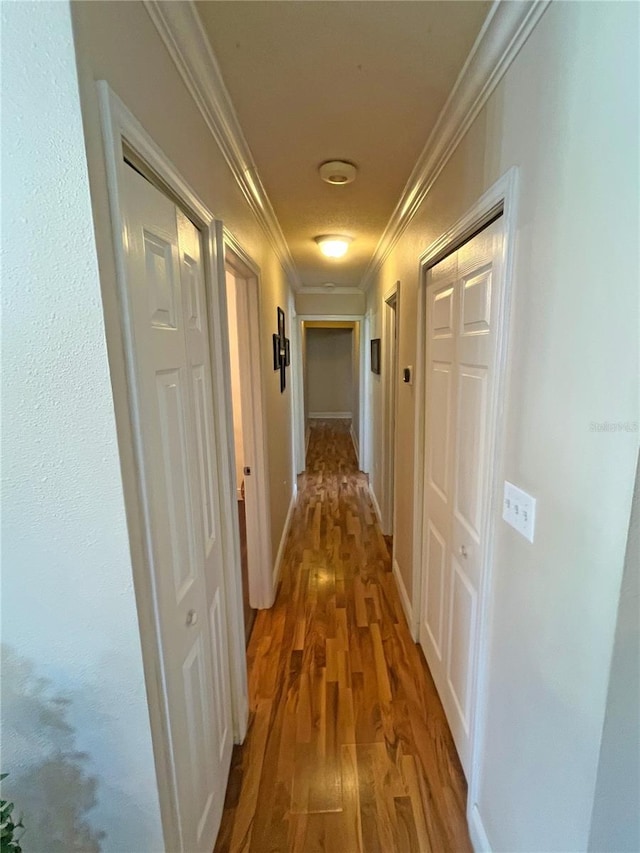 hallway with hardwood / wood-style flooring and crown molding