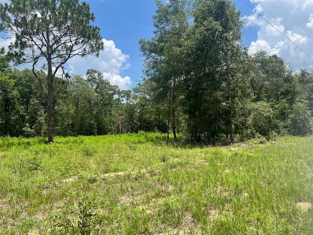 TBD NE 78th Ln, Bronson FL, 32621 land for sale