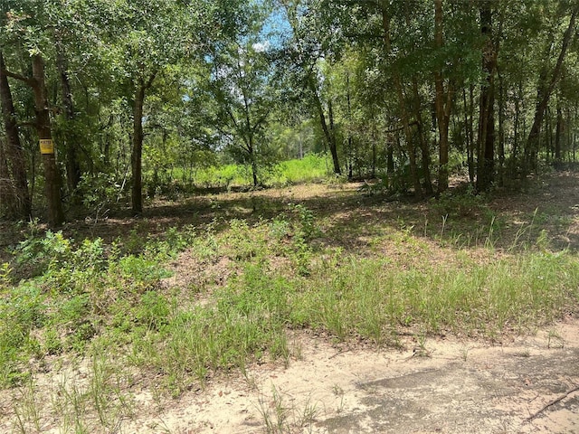 Listing photo 3 for TBD NE 78th Ln, Bronson FL 32621