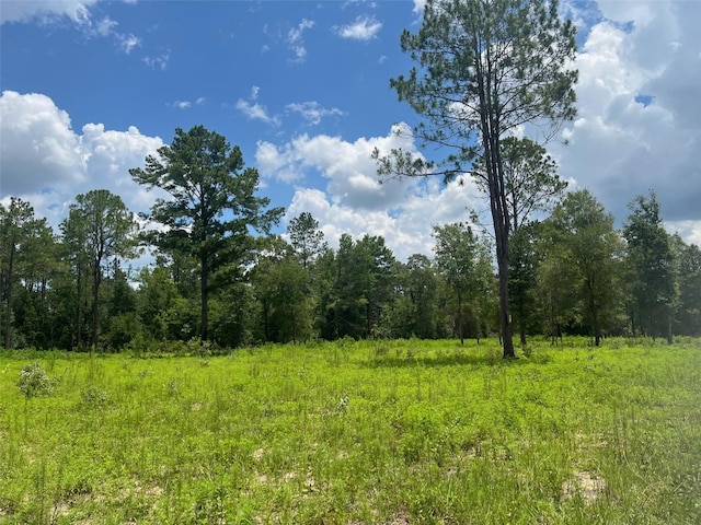 TBD NE 78th Ln, Bronson FL, 32621 land for sale