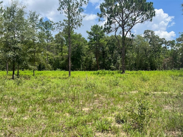 Listing photo 2 for TBD NE 78th Ln, Bronson FL 32621