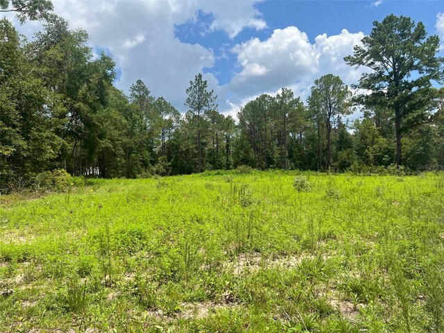 Listing photo 3 for TBD NE 78th Ln, Bronson FL 32621