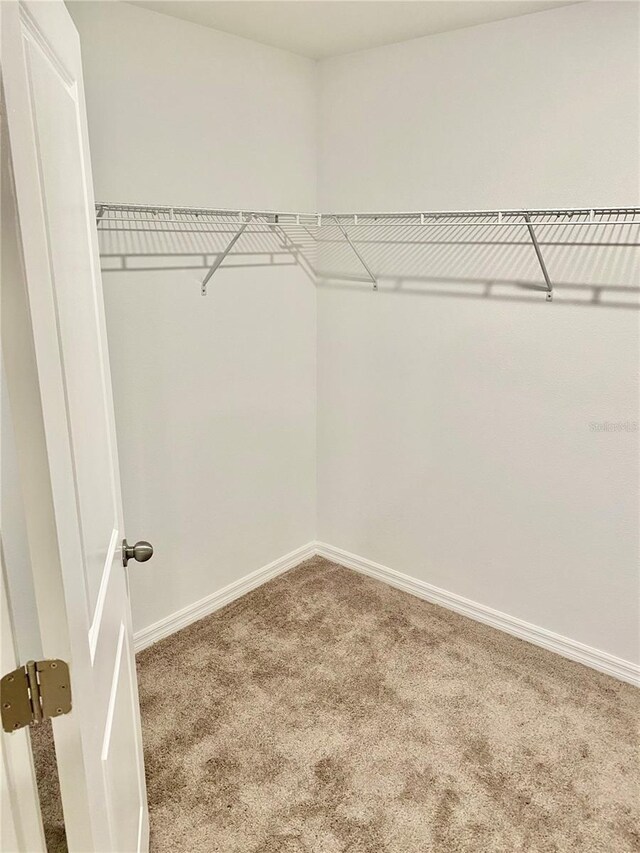 walk in closet with carpet