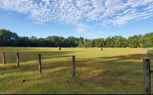 view of yard featuring a rural view