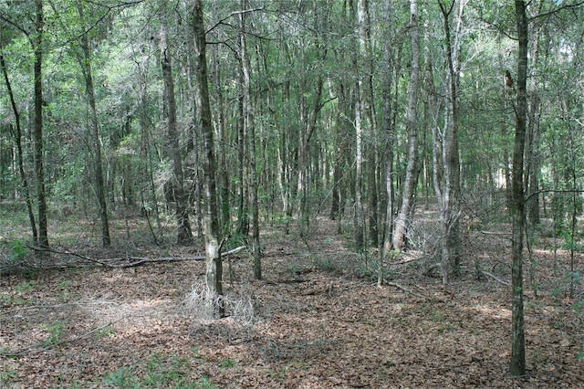 view of landscape