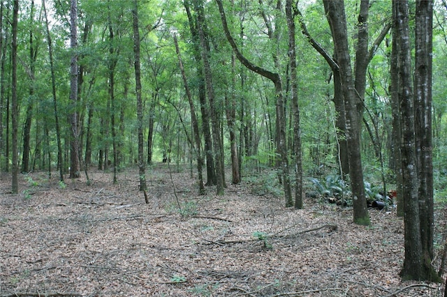 view of landscape