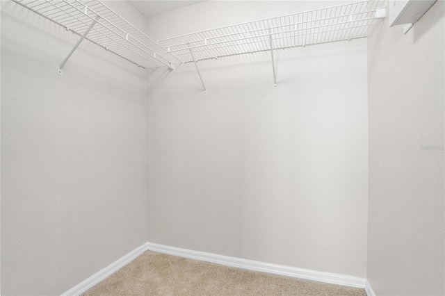 walk in closet with carpet floors