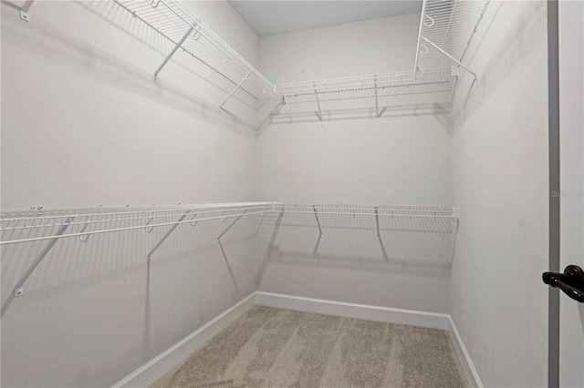 walk in closet with light colored carpet