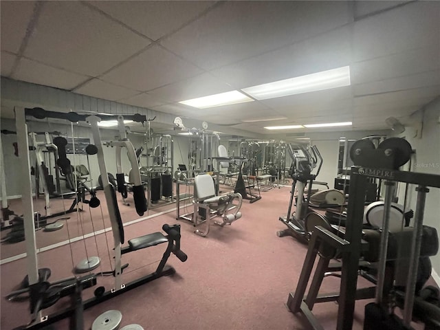 workout area featuring carpet flooring and a drop ceiling