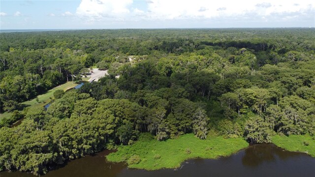 SE Hawthorne Rd, Gainesville, FL 32641 - photo 4