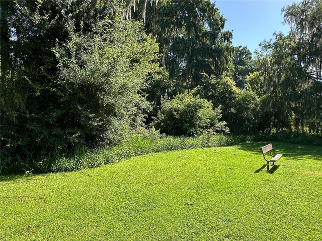 SE Hawthorne Rd, Gainesville, FL 32641 - photo 7