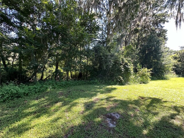 SE Hawthorne Rd, Gainesville, FL 32641 - photo 8