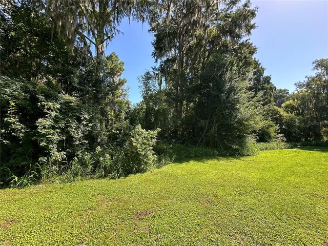 SE Hawthorne Rd, Gainesville, FL 32641 - photo 9