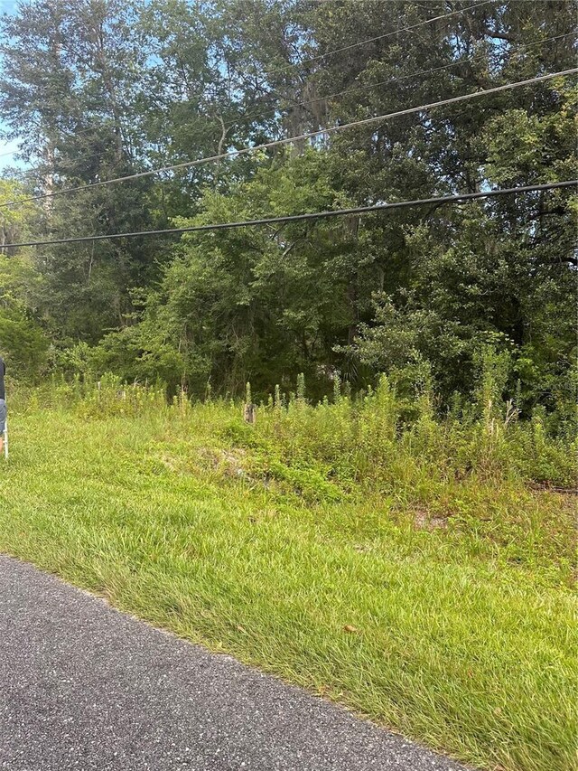 NW 93rd Ave, Gainesville, FL 32607 - photo 2