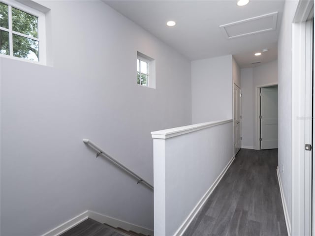 hall with dark hardwood / wood-style flooring and a healthy amount of sunlight