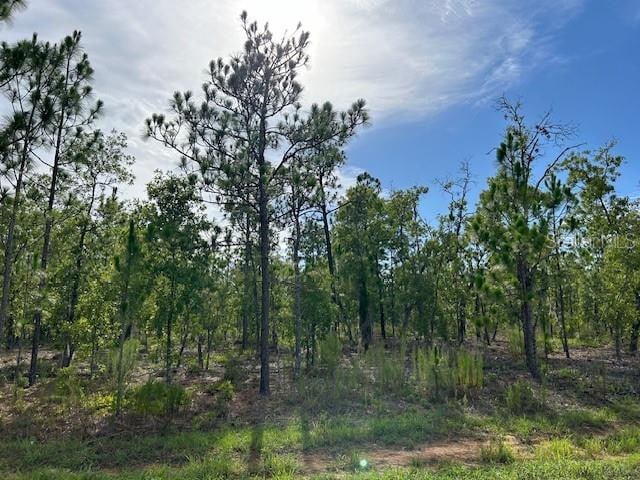 000 Doe Trl, Hawthorne FL, 32640 land for sale