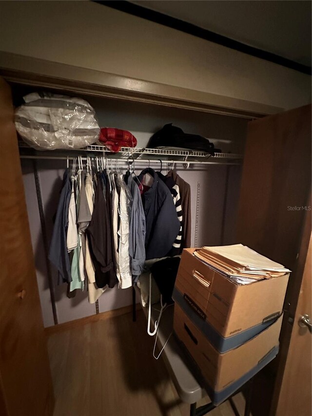 view of closet