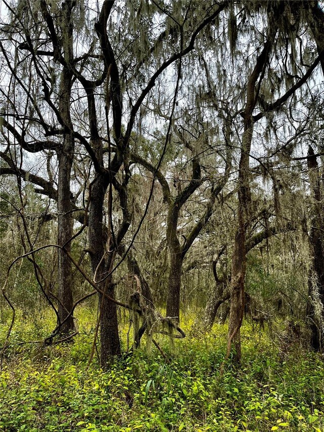 view of local wilderness featuring a forest view