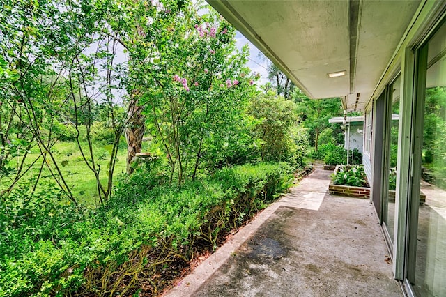 view of yard featuring a patio area