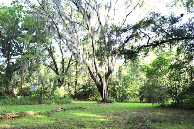 2539 NW 31st Ave, Gainesville FL, 32605 land for sale