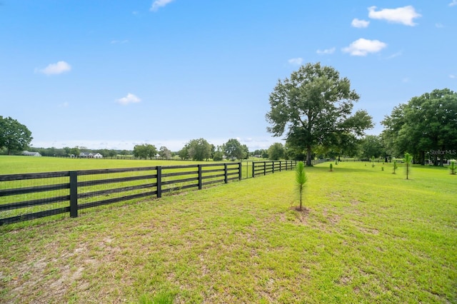 view of yard with a rural view