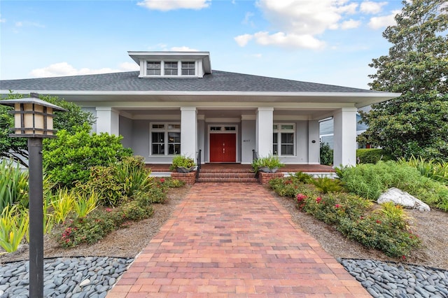 bungalow with a porch, a shingled roof, and stucco siding