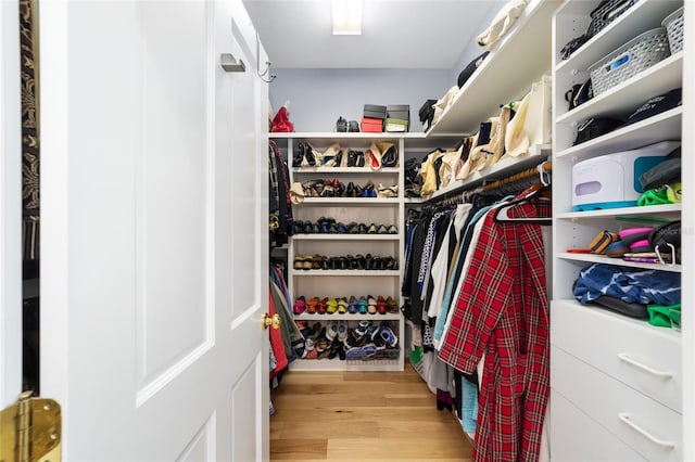 walk in closet featuring light wood-style flooring