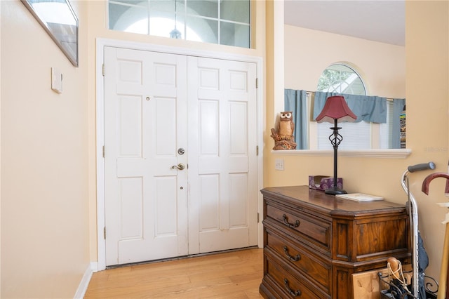 entrance foyer featuring light hardwood / wood-style flooring