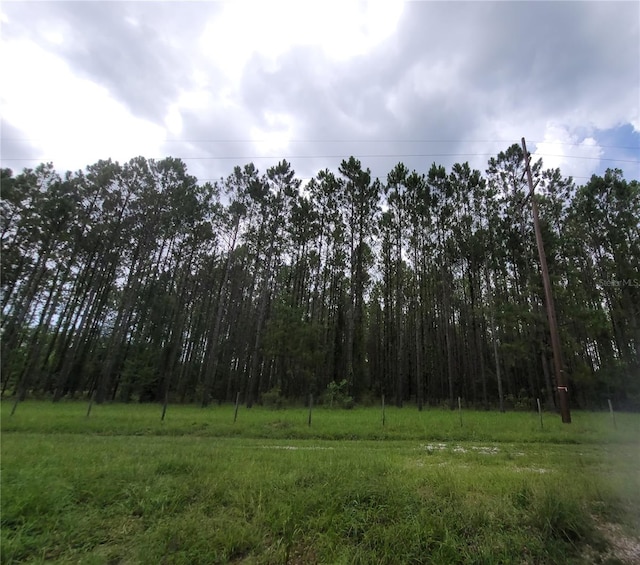 SW Sr 121, Lake Butler FL, 32054 land for sale