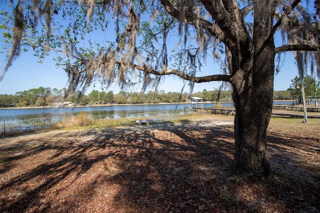 view of yard featuring a water view